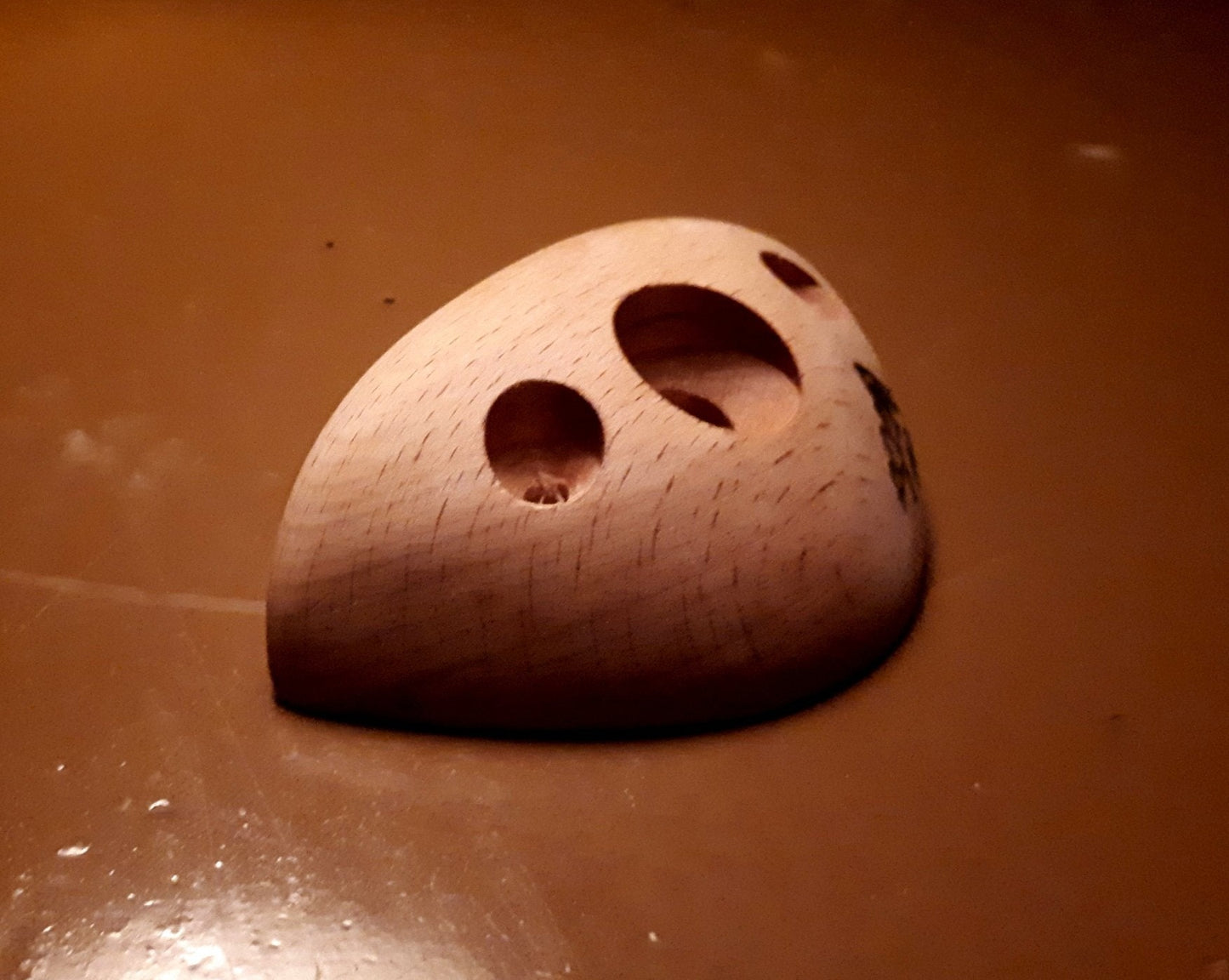 Leaf notch sp. 30