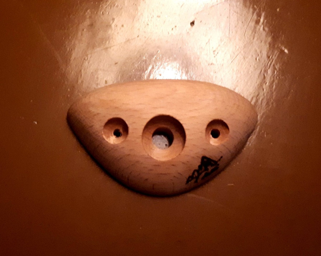 Leaf notch sp. 30
